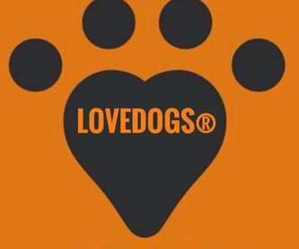 Gosbi Medium Puppy 12kg: Productos de VETERINARIO LOVEDOGS®