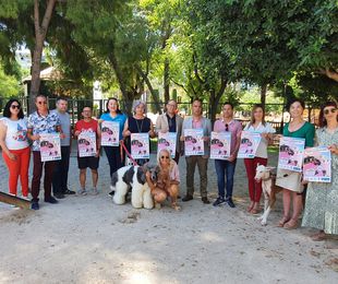 Obligación por ley de identificar por microchip a todos los perros y gatos