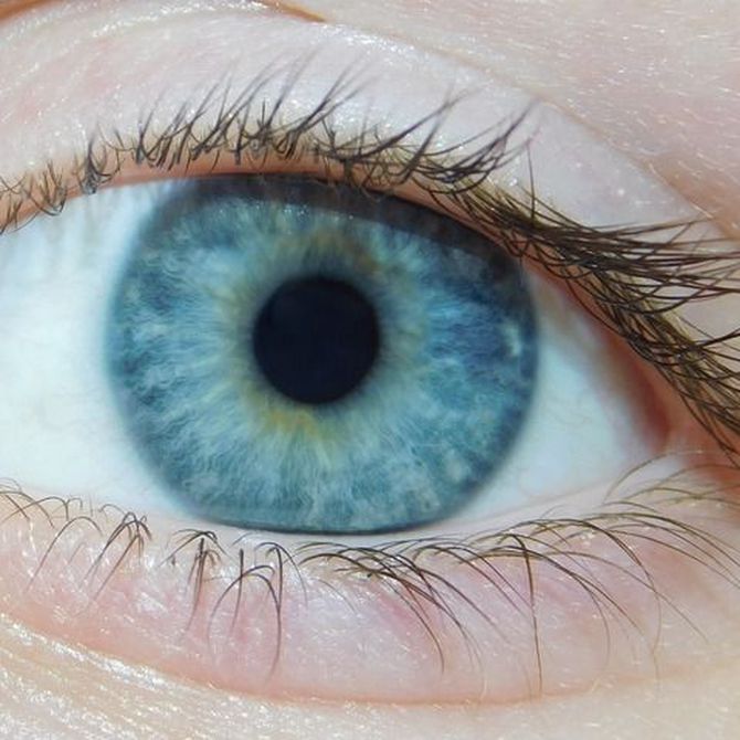 Tipos de lentillas 2025