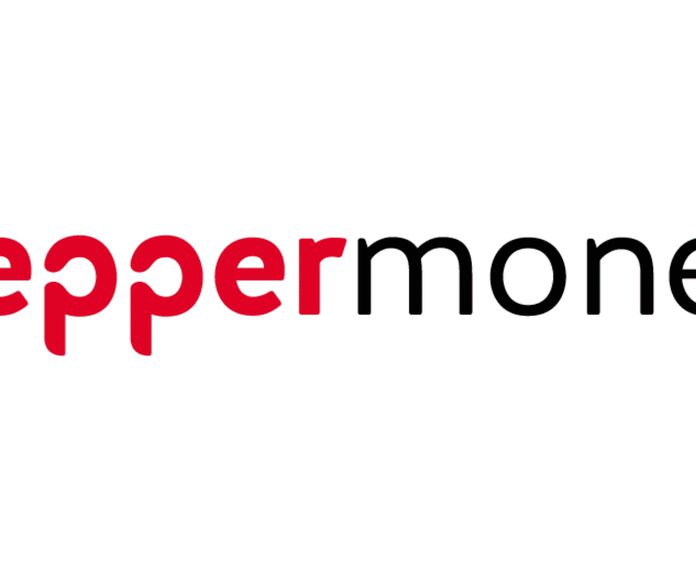 Tu mejor aliado  en el pago aplazado: PEPPER MONEY