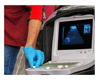 Radiografías: Servicios de Centre Veterinari Panda
