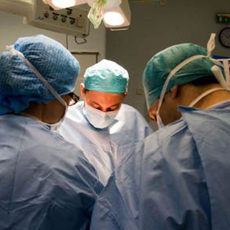 Cirugía : Servicios de Serveis Veterinaris Esparreguera