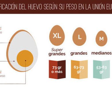 CLASIFICACION DEL HUEVO SEGUN SU PESO EN LA UNION EUROPEA