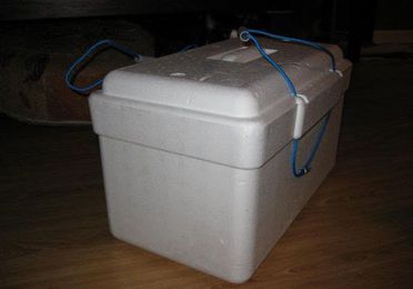 Caja de Poliespan