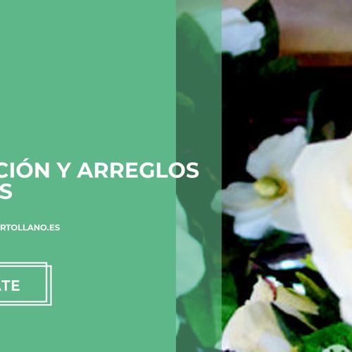 Arreglos florales en Puertollano: Díaz Floristas