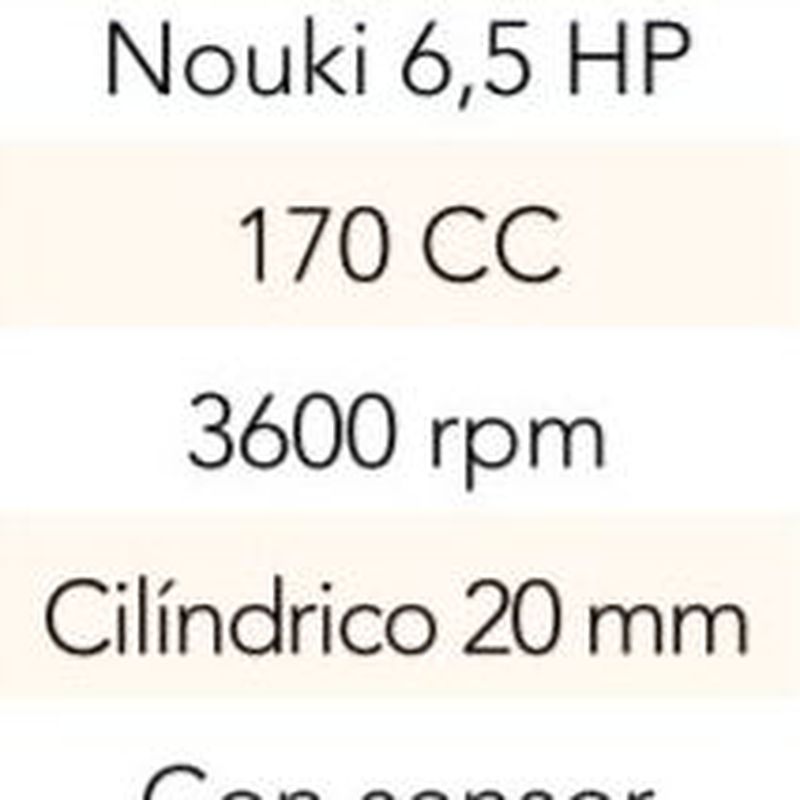 MOTOR (TIPO HONDA) 170 cc 6,5 HP EJE CILINDRICO 20 MM  Cód. HS-700: Productos y servicios de Maquiagri