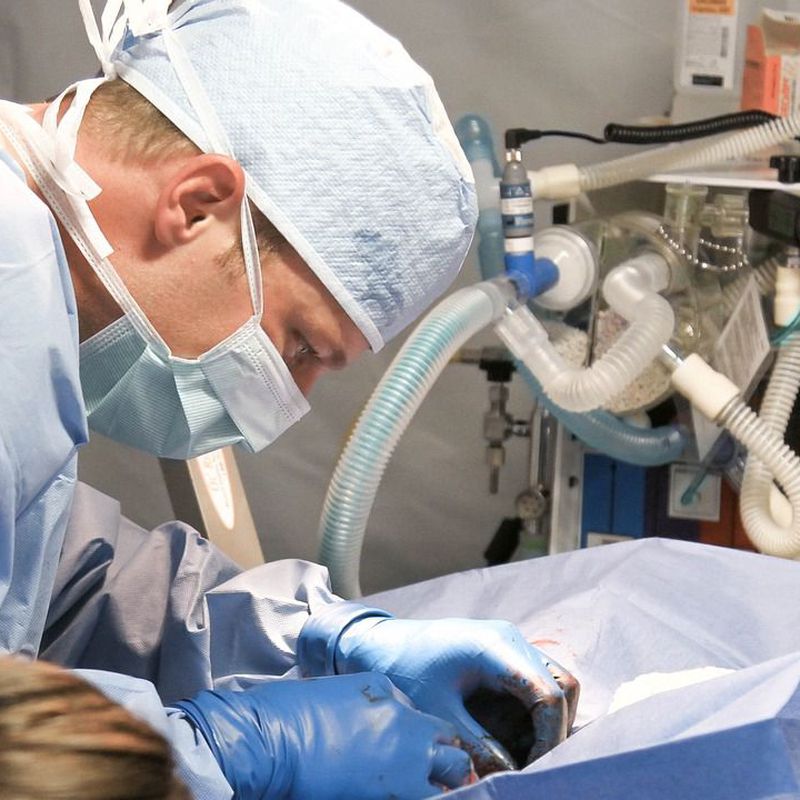 Cirugía: Servicios de Centro Veterinario Aluche Las Águilas