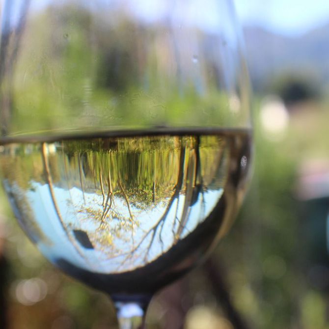 El vino Blanco Monterrei
