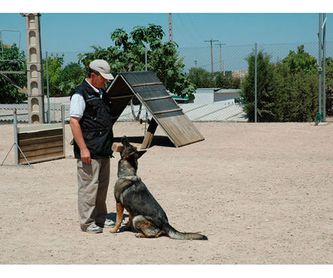Venta perros adiestrados: Servicios de Borgescan Escuela y Residencia Canina