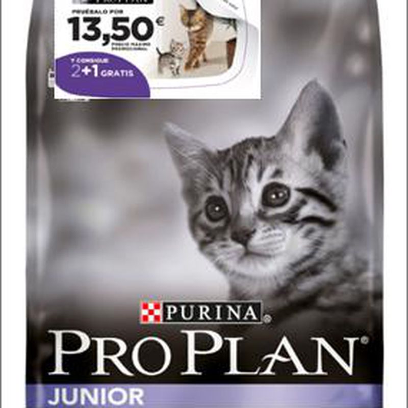 Pro Plan Gato Junior (1 a 12 meses)