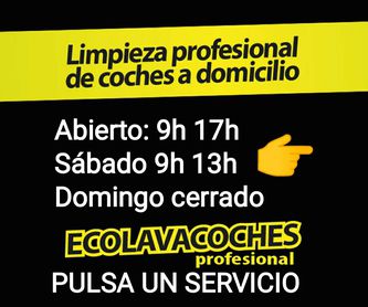Exterior Detallado 30€/ Indicanos Dirección Día Hora: Servicios y tarifas de Ecolavacoches Profesional