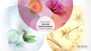 Imagen de Productos y servicios - Color SUBLIME