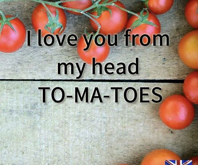 Tomatoes