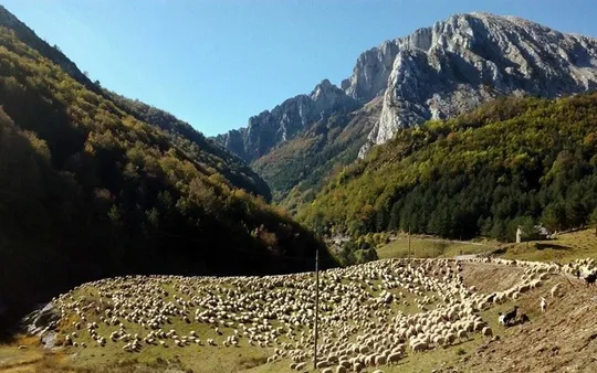 Imagen 3 de la galería