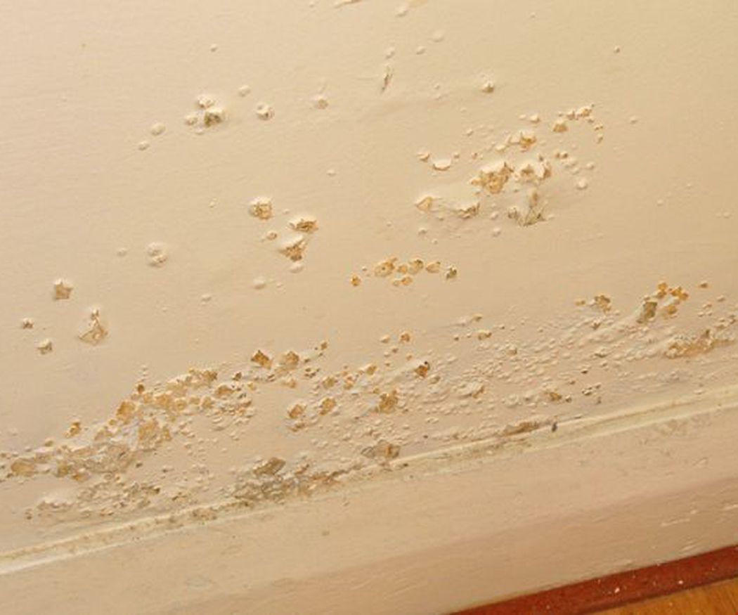 Aleja la humedad de tu cuarto de baño