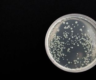 Microbiología