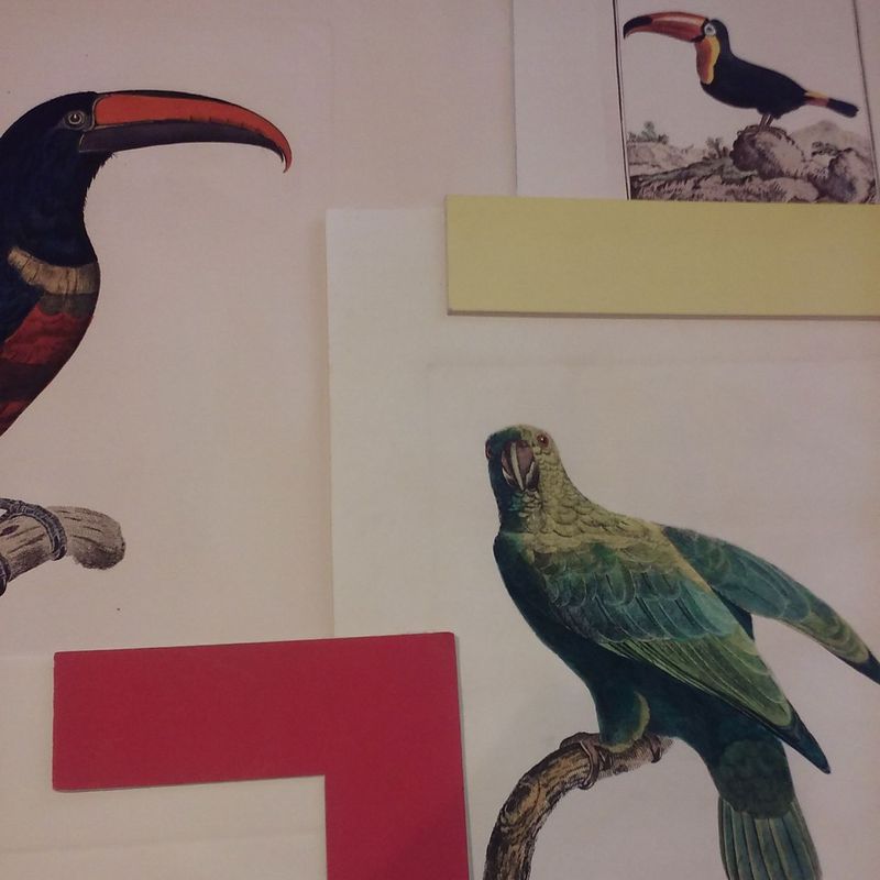 AVES DEL PARAISO: Productos de Cano 1907