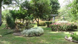 Imagen de Servicios - Jardines