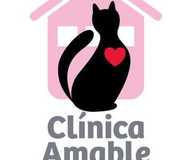 Renovado el Certificado de "Clínica Amable con los Gatos" 