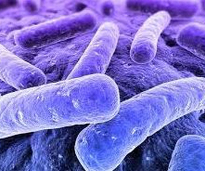 Legionella: Servicios de Garsanben Control de Plagas