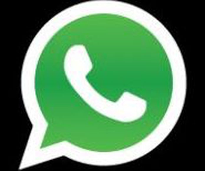 ¿Qué información puedo obtener por WhatsApp?: Servicios de CENTRO VETERINARIO CIUDAD NARANCO }}