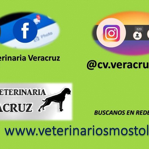 Presencia de la Clínica Veterinaria Veracruz en Redes Sociales
