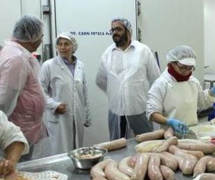 EL GOVERN ANUNCIA MEDIO MILLON EN AYUDAS PARA EL SECTOR PORCINO
