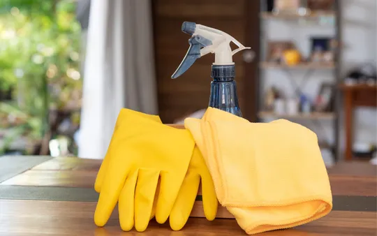 Imagen 1 de la galería