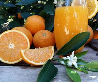 Naranjas zumo pequeño 15 kg: Productos de Naranjas Julián