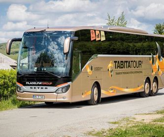 Ofertas especiales de transportes: Servicios de Tabita Tour Madrid (Meco)