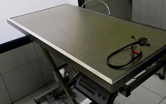 Clínica veterinaria completamente equipada en Madrid