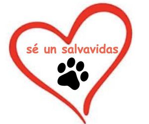 SÉ UN SALVAVIDAS