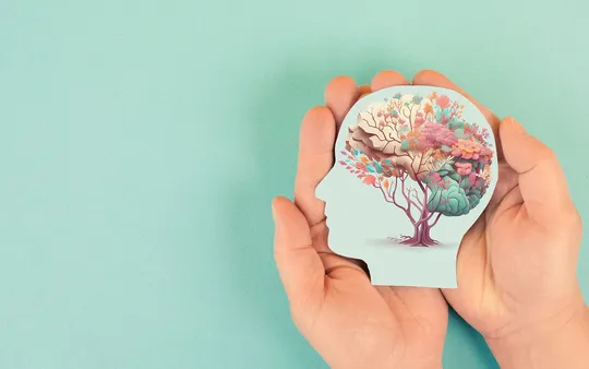 Imagen 5 de la galería