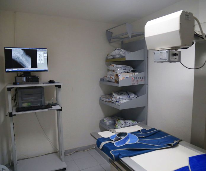 Radiología digital: Servicios de Clínica Veterinaria San Lucas