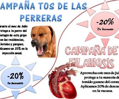 Tos de las perreras en Madrid