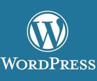 Securizar el acceso a Wordpress