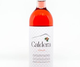 Caldera Blanco Semidulce : Nuestros vinos y servicios de Bodega Hoyos de Bandama
