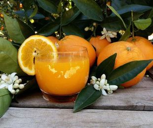 Naranjas de zumo pequeño 20kg