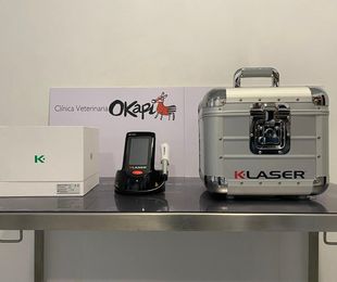 Nuevo servicio de Terapia Láser