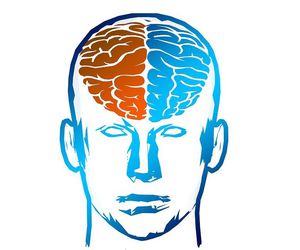 Neuromotiva: actividades para entrenar nuestro cerebro