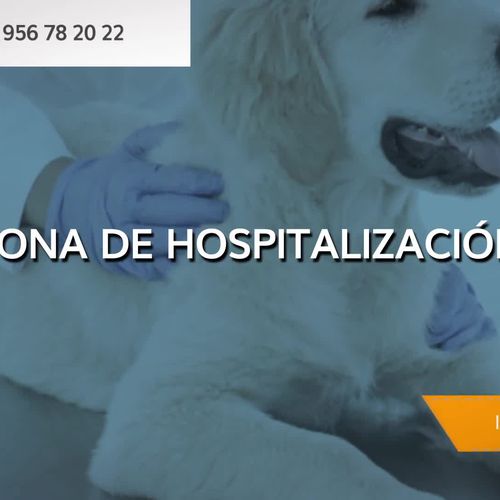 Veterinarios en San Roque | Clínica Veterinaria San Roque