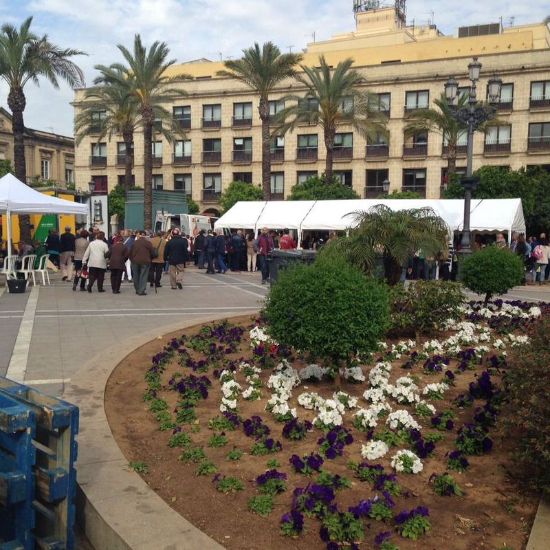 EVENTO EN PLAZA ARENAL EN JEREZ: Catálogo de Jedal Alquileres