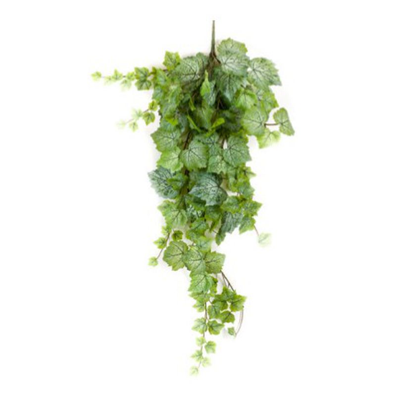 Planta colgante hoja de parra: ¿Qué hacemos? de Ches Pa, S.L.