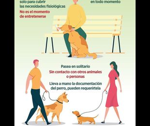 Consejos a tener en cuenta para pasear a tu mascota