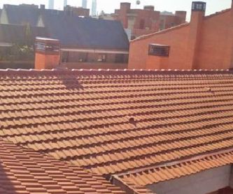 Empresa de pocería y desatascos: Servicios de Cosual Obras Y Servicios, S.L.