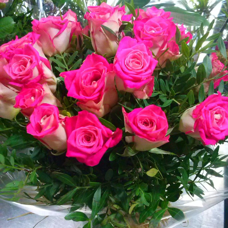 Rosas de color rosa.