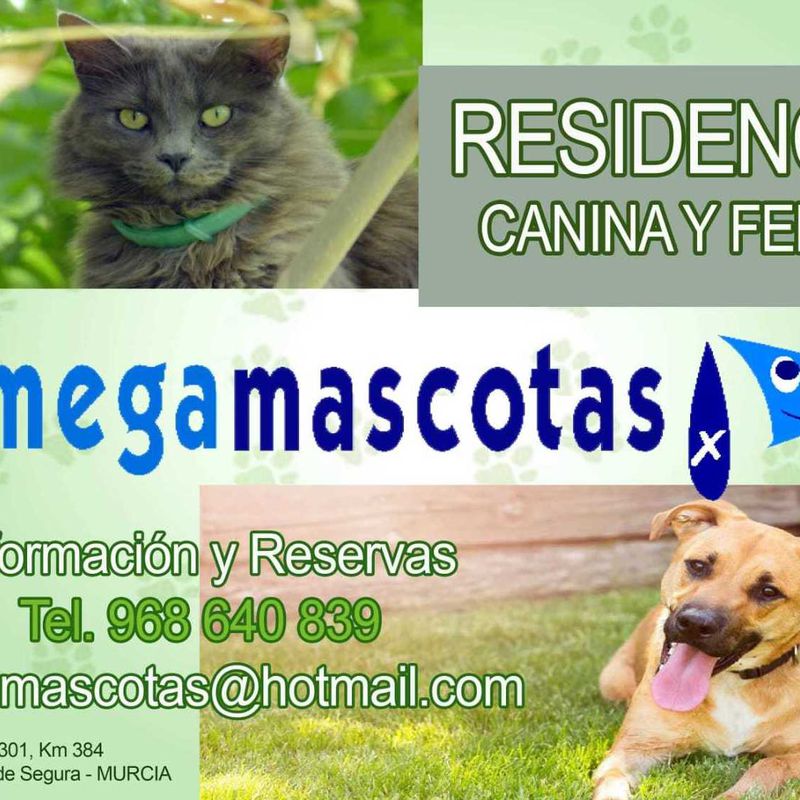 Residencia canina y felina en Murcia