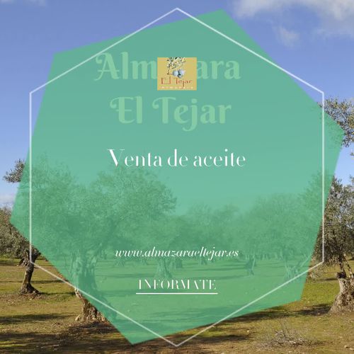 Aceite de oliva en Tejeda de Tiétar | Almazara El Tejar