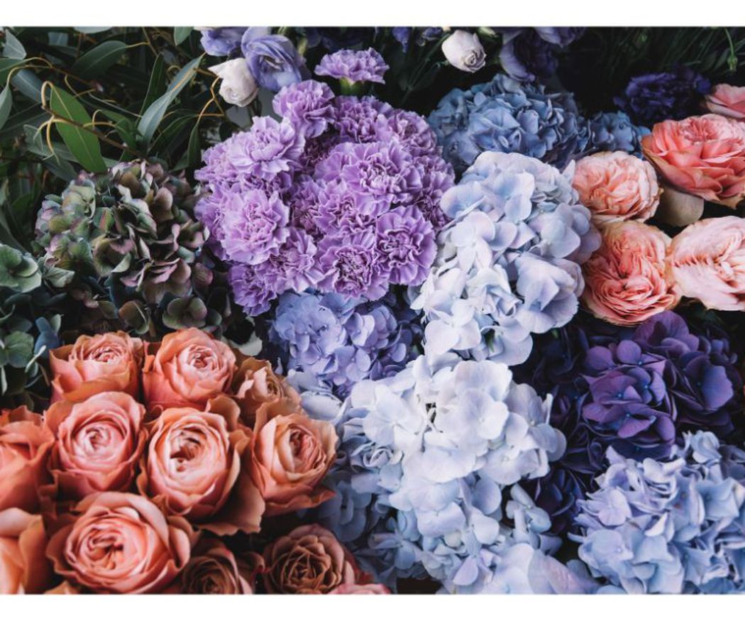 El significado de los colores en las flores