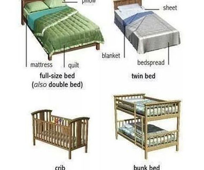 Vocabulary: beds }}